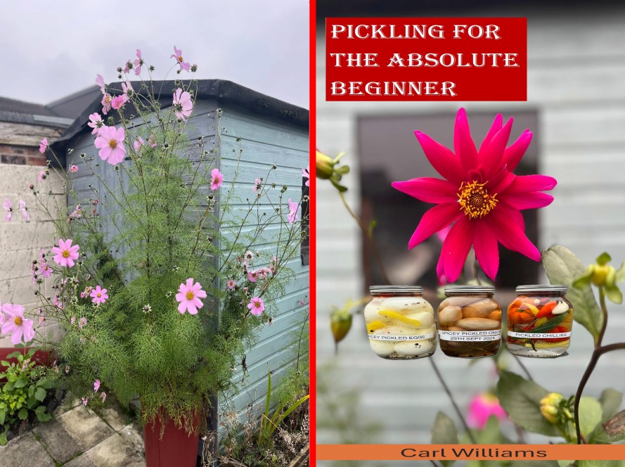 Pickling For The Absolute Beginner